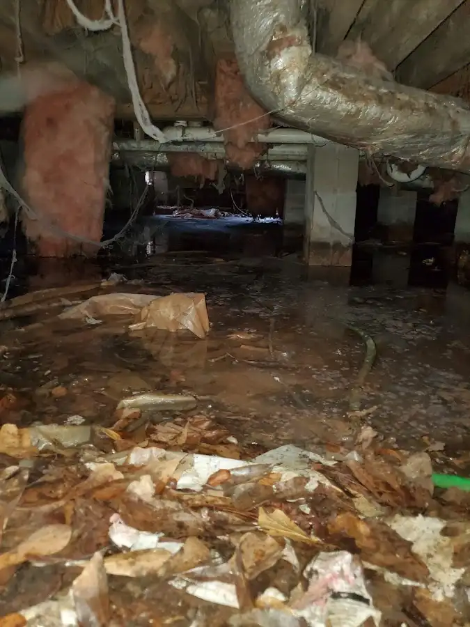 Crawl space flood assessment for Leak Detection & Repair in Pepperell