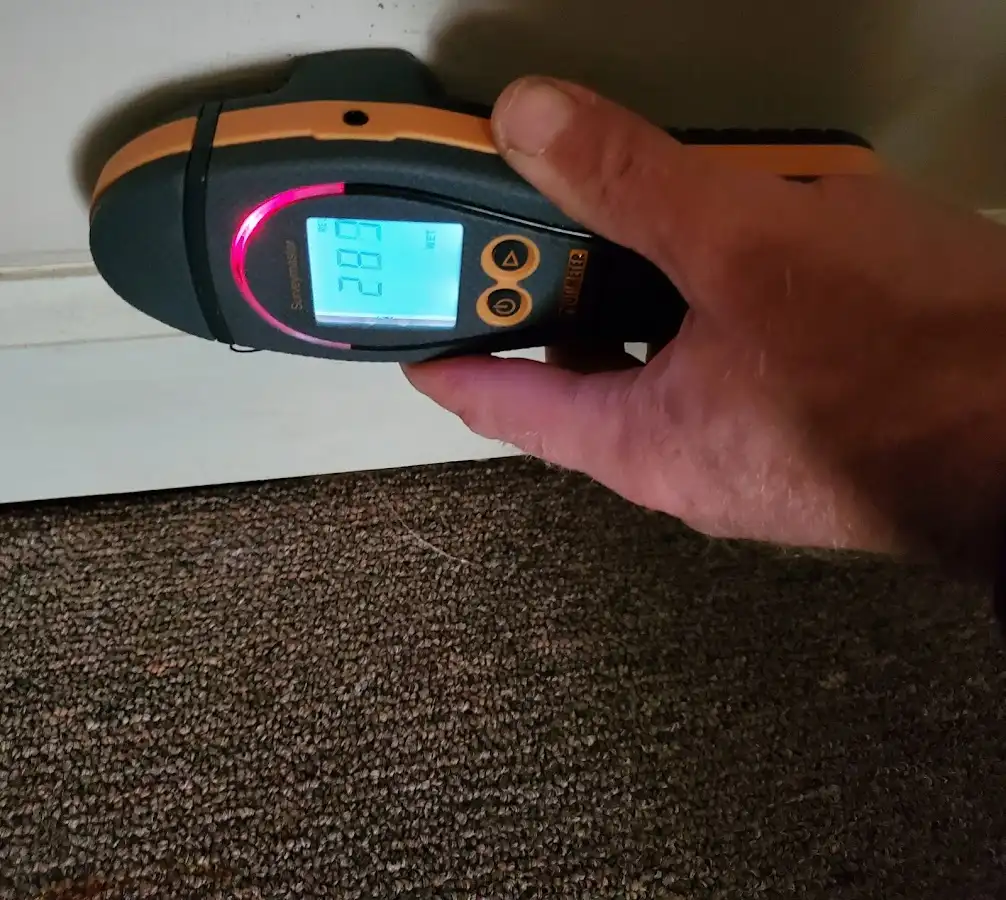 Moisture detection at baseboard during Sewage Cleanup & Sanitation in Pepperell